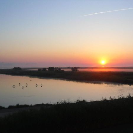 Chambre Les Flamants, Avec Vue Imprenable Sur Les Etangs, Les Oiseaux, La Nature, Petit Dejeuner Compris Сент-Мари-де-ла-Мер Экстерьер фото