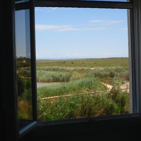 Chambre Les Flamants, Avec Vue Imprenable Sur Les Etangs, Les Oiseaux, La Nature, Petit Dejeuner Compris Сент-Мари-де-ла-Мер Экстерьер фото